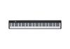 88-Key Folding Electronic Piano with Weighted Hammer Action, MIDI, CE Certified.