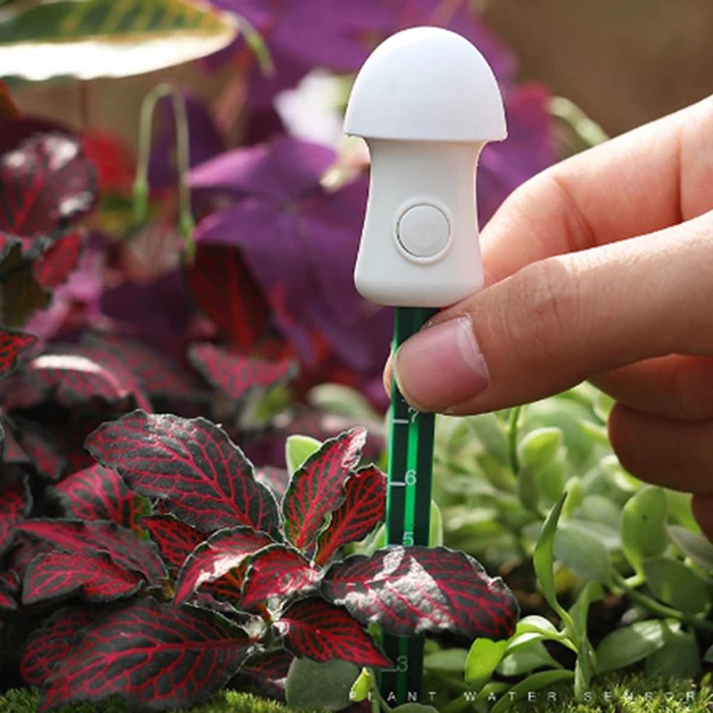 Plant Moisture Meter Sun-proof Plant Water
