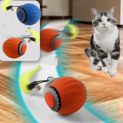 Gatti – Giocattoli per gatti