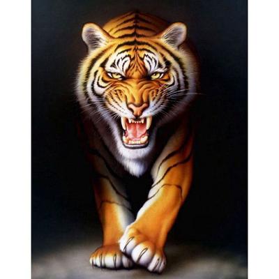 Paint by Numbers Tiger 40 X 50 Cm