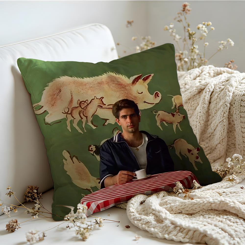 Cushion Cover Linen SkinFriendly Soft Decorative Case for Sofa Home Decor Classic Movie The SSopranos Pillow cover