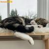 Wooden Cat Hammock Balcony Cat Bed Big Cats Couch Tower Sun Summer View Simple Nest Window Castle Pet Products Accessories