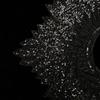 High-end Front and Back Shawl Sequins Fake Collar Luxury Clothing Appliques  Clothing Accessories