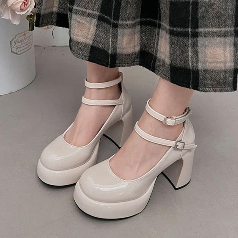 Pumps for Women Girls Fashion Wine Red New Chunky Heel Wedding Dress Shoes Spring New Pumps Classic Double Buckle Shoes