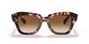 Sunglasses RB2186 PINK HAVANA 52 [Ray-Ban]