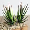 Künstliche Pflanze Diy Fake Aloe Home Room Dekoration PVC Optionale Arten