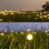 Outdoor Lights Solar Lawn Lamp Garden Lamp LED Wind-driven Firefly Ground Plug Lamp for Garden Lawn IP65 Landscape Holiday Light