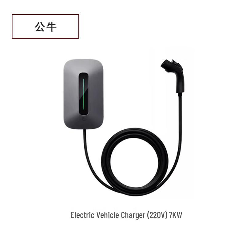 Bull 7KW Wall-Mounted EV Charger