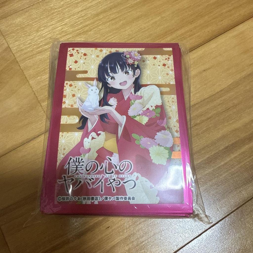 [USED] The Dangerous Guy in My Heart Anna Yamada Sleeve