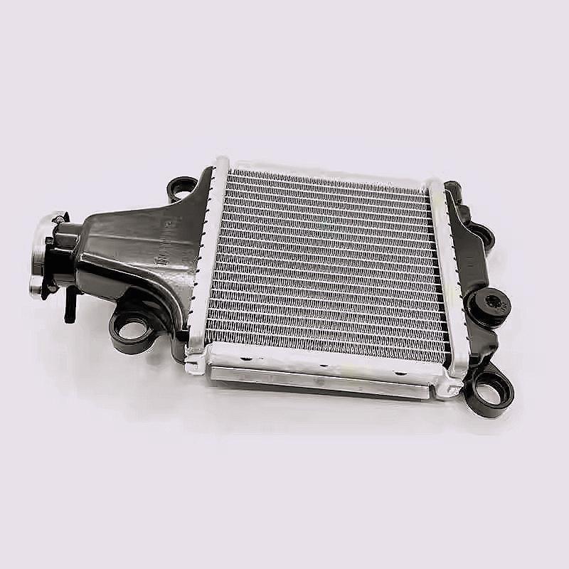 Loncin Motorcycle SR150GT Radiator LX150T-29 Water Tank SK150 Cooler Parts