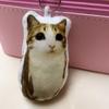 Portachiavi Peluche Attivato dalla Voce Gatto Miao Ciondolo Animale di Peluche Parlante Carino per Borse Zaini Regalo Divertente per Bambini Studenti