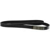 5080810 Dayco Drive Belt for Chevy Ram Truck Freightliner M2 106 Peterbilt 367