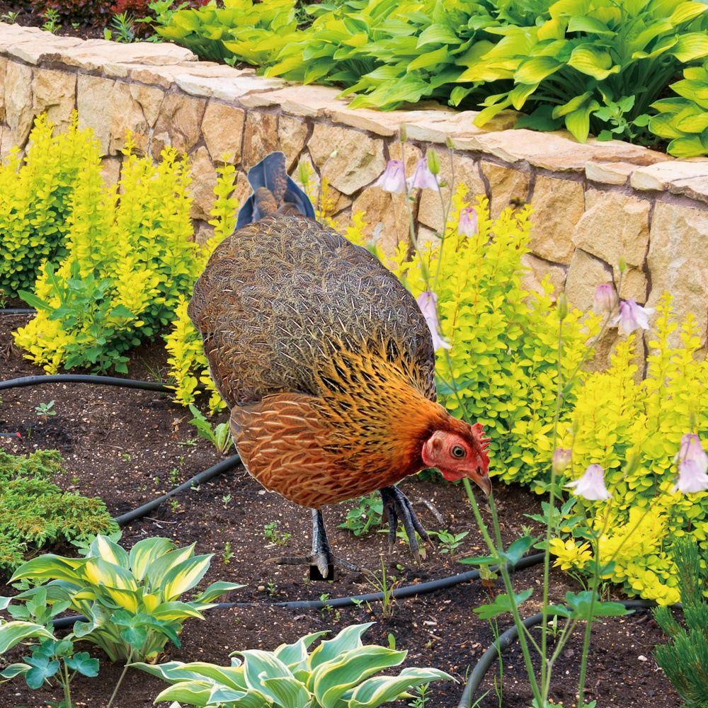 DIY Acrylic Chicken Ornament 3D Animals Sculpture Fashion Garden Chicken Stake Patio