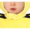 Fiestas Guirca Baby Bee Costume Set