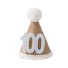 Ins Crown Happy Birthday Hat for Kids Durable Felt Fabric Celebration Headband Decorations Baby Birthday Wedding Party Supplies