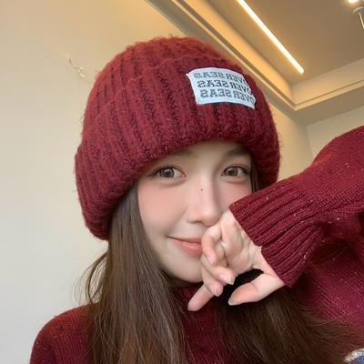 Blogger Simple Alphabet Patch Wool Hat Women's Autumn and Winter Thickened Warm Ear Protection Knitting
