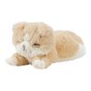 Livheart Mascot Scottish Fold 20cm Fluffy Armrest Plush Toy "Kutattobiyori" (approx. Long) 37111-14
