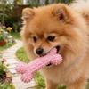 Osso Giocattolo da Masticare per Cani Osso Gommoso Spinato Giocattolo per la Dentizione dei Cuccioli Giocattolo per la Pulizia dei Denti del Cane per Cani di Taglia Piccola Media Grande Masticatori Aggressivi