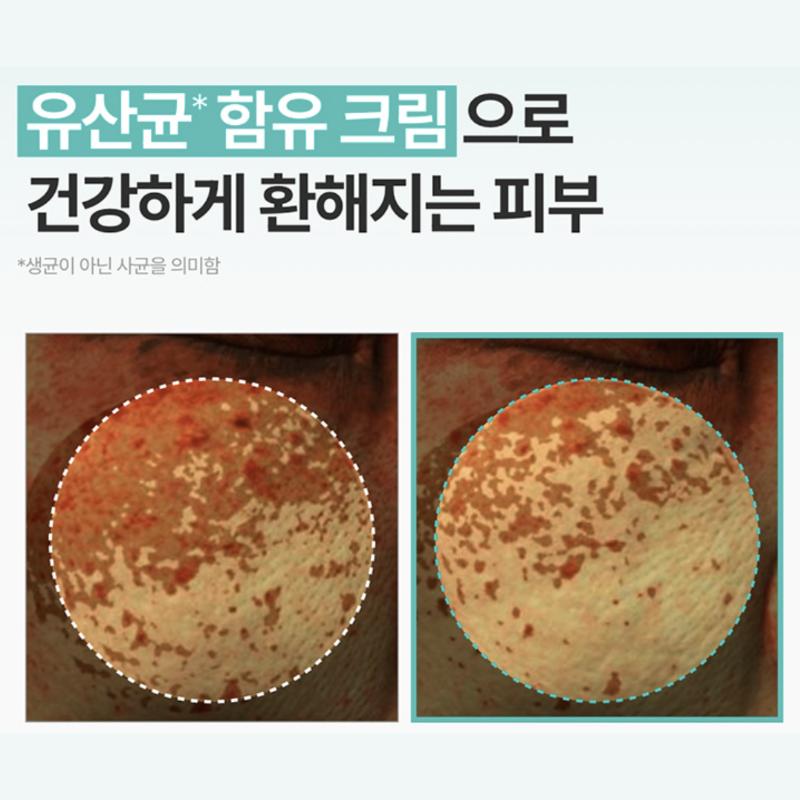 [MEDITHERAPY] PORETHERA Real Bifida Blur Cream 50ml