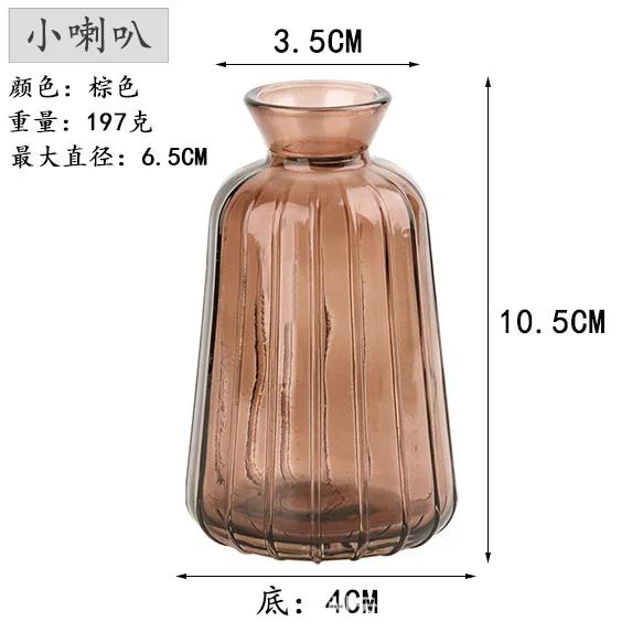Decorative Flower Bottle Nordic Glass Vase Transparent Bud Vase Designed Hydroponic Plant Pot Living Room Decor Table Ornaments