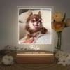 Personalized Glowing Acrylic Pet Portrait Luminous Artwork Custom with Pet Photo Text Soothing Memorial Keepsake for Pet Lovers