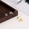 Yousheng 1 Pair Star Ear Studs Cool Style Solid Color Earrings Small Lightweight Anti-rust Anti-allergy Luster Colorfast Daily Earrings Holiday Gift