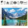 2D plane 1 piece of serene lake and mountain background image - vivid colors suitable for parties birthdays and festivals.