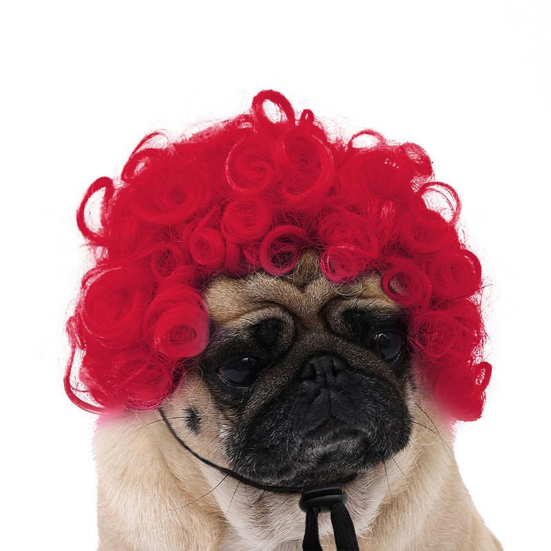 Are 10 Here Suggested Titles For The Pet Wig Product Based On The Information Provided
