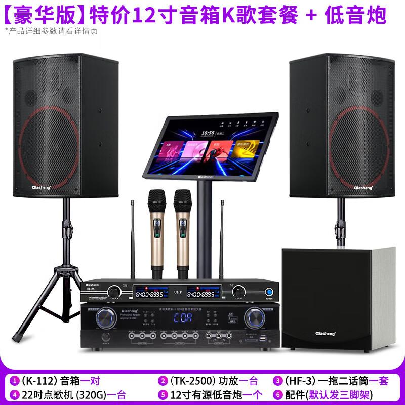 QIASHENG Professional Home KTV Karaoke System CN plug (adapter included) (CN version)