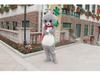 Kianran Bear Costume: Cartoon Mascot Cosplay Headgear for Walking & Photoshoots