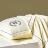 Solid Color Embroidery Washed Silk Pillowcase Four Season Universal Light Luxury Moisture Absorption Breathability Pillowcase