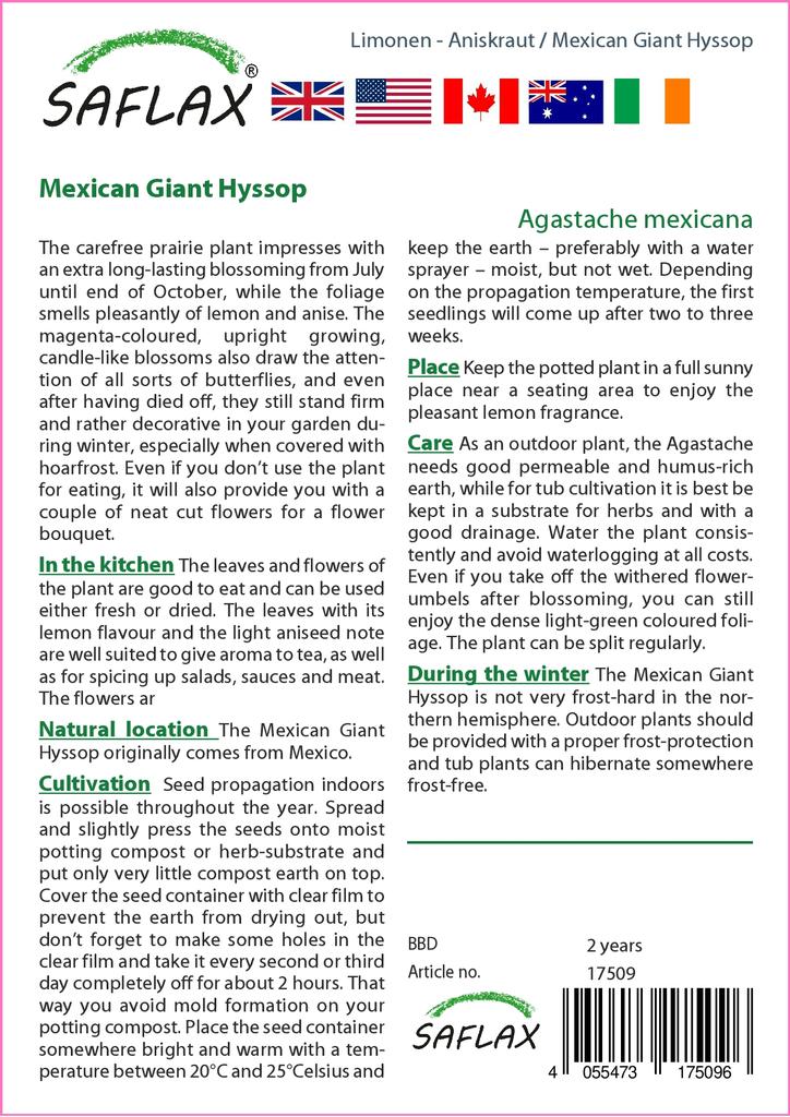 SAFLAX Zahrada v sáčku - Mexický obří yzop - 50 semen - Se substrátem ve vhodném stojacím sáčku - Agastache mexicana
