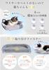 By a Veterinary Cat Hammock for Foldable Cat Suction Pet Bed AmberWave [Supervised Nurse] Windows, Hammock, Cup,