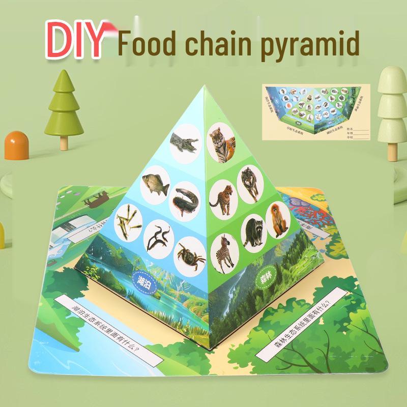 DIY Food Chain Pyramid Kit: Innovative Handmade Science Experiment for Kindergarten and Primary Students Individually Packaged