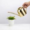 Rose Gold Stainless Steel Watering Can with Spout, Retro Style, 1000ML for Succulents and Green Plants