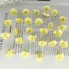 2cm Mini Wild Sunflower Daisy Mori-Style DIY Wreath Accessories