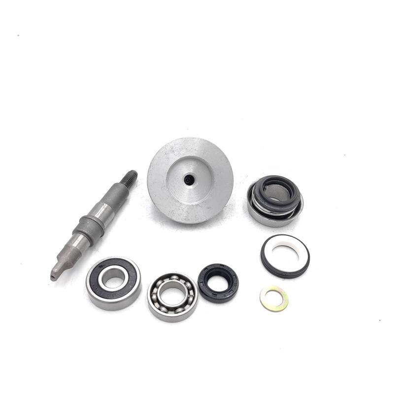 Bashan 200CC BS200 ATV Quad Water Pump Assy ATV Spare Parts