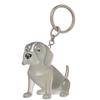 Dog Shape Dog Hair Storage Box Transparent Puppy Pendants Pet Hair Keychain  Jewelry Gift