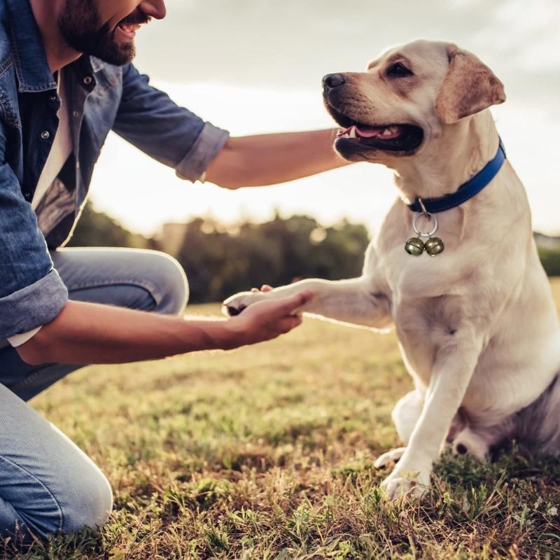 І Собака Гучні Дзвіночки 3шт Побутові Декоративні Дитячі Дівчатка Хлопчики