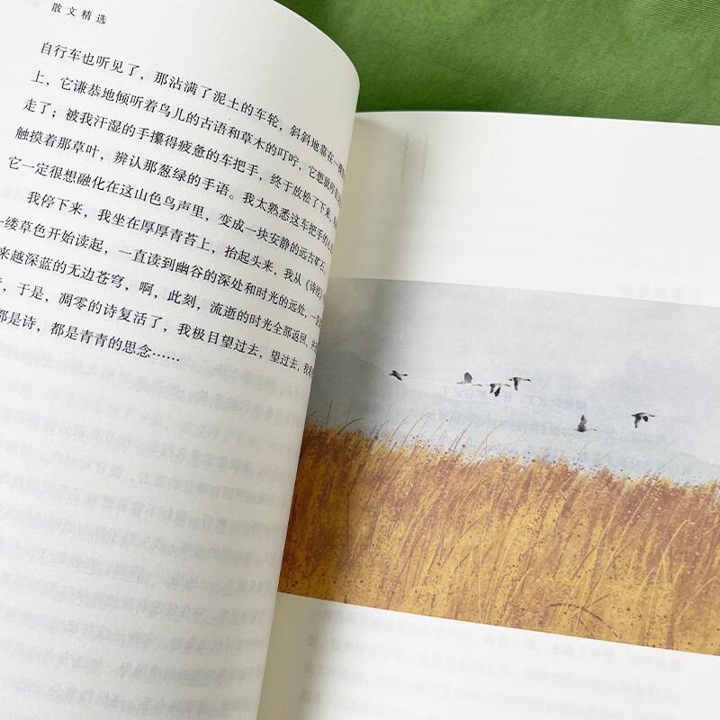 Li Hanrong's Essay Selection