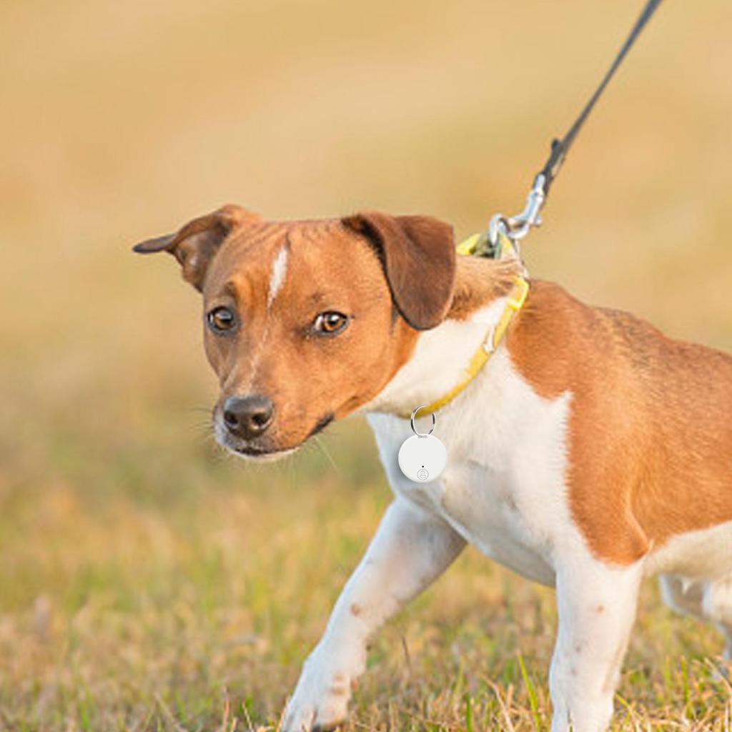 Dog Tracker GPS Smart Tracker Tag Locator Anti-Lost Device Mobile Keys Pet
