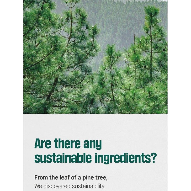 ROUND LAB Pine Calming Cica Ampoule