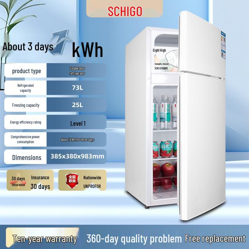 Frigorifero Mini a Doppia Porta ad Alta Efficienza Energetica per Casa, Dormitorio o Ufficio
