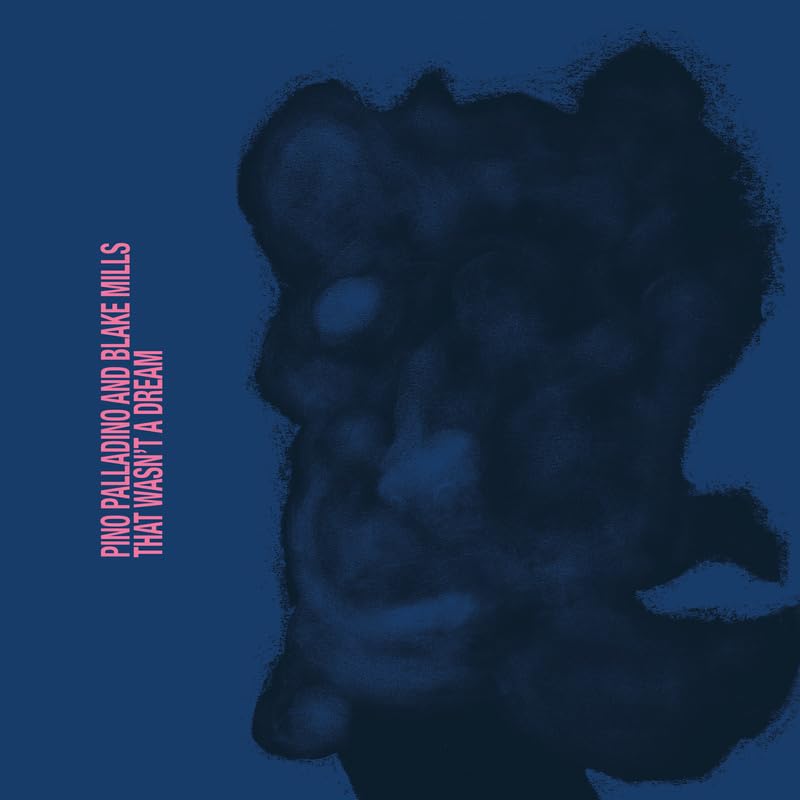 That A Dream Inch Wasn't [12 Analog]