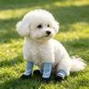 Soft Sole Pet Booties Wear Resistant Dog Foot Cover Easy Wear Paw Protector  Small Dog Walking