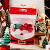 25Pcs Plastic Bags Christmas Candy Bag Merry Christmas Gift Packages Bags  Party Supplies