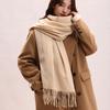 Tassel Imitation Cashmere Scarf Korean Style Women Shawl Simple Winter Neckerchief  Autumn
