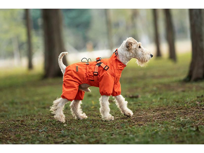 Medium & Small Dog Raincoat with Leash Hole - Waterproof & Reflective Puppy Jacket