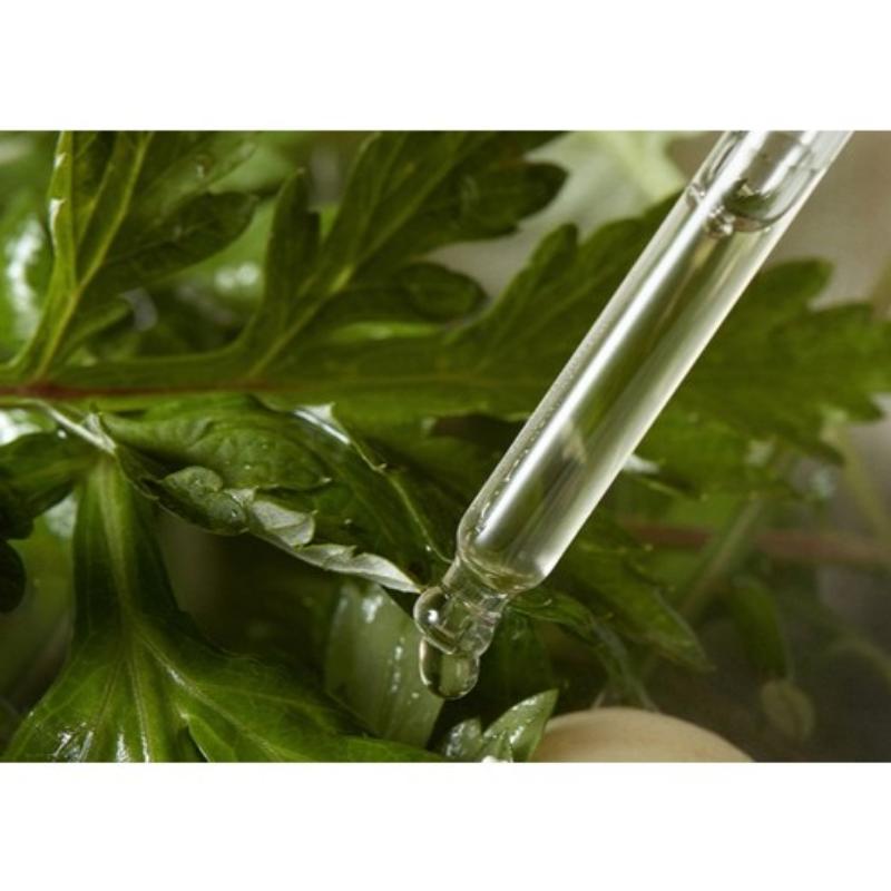 Ich bin Beifuß Beruhigendes Feuchtigkeitsserum 30ml