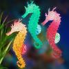 Peixes e animais aquáticos – Decoração de aquário